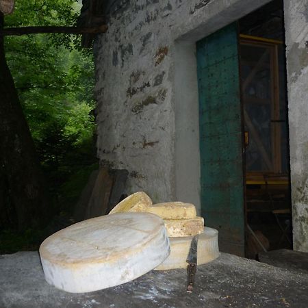 Da Erminia Acomodação com café da manhã Verdabbio Exterior foto