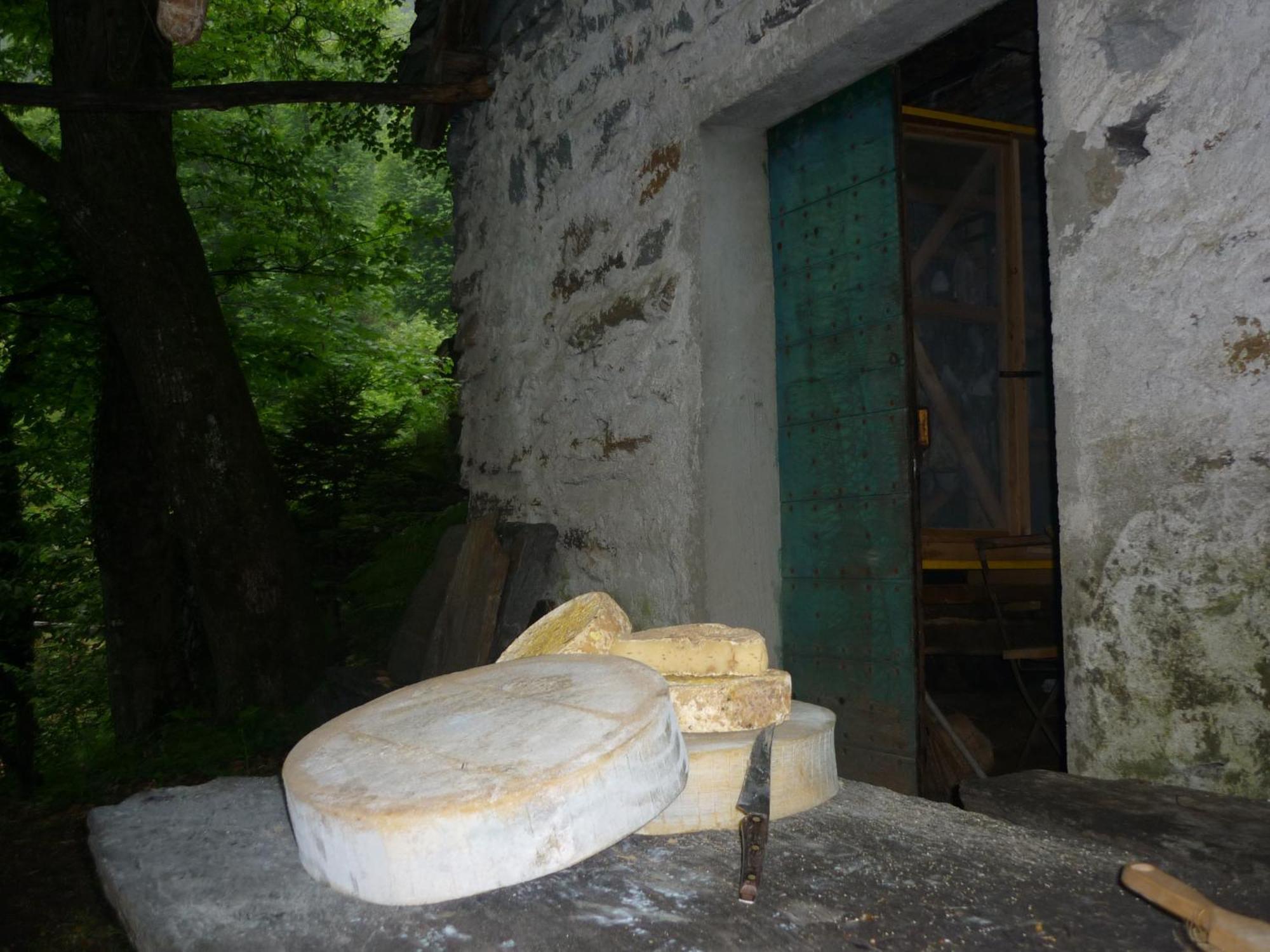 Da Erminia Acomodação com café da manhã Verdabbio Exterior foto